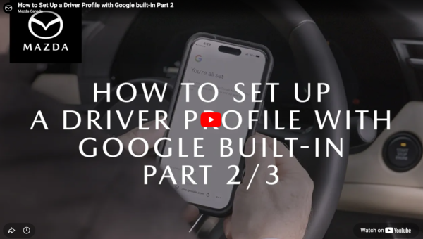 HOW TO SET UP A DRIVER PROFILE PART 2
