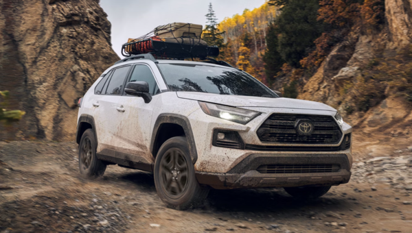2025 Toyota RAV4
