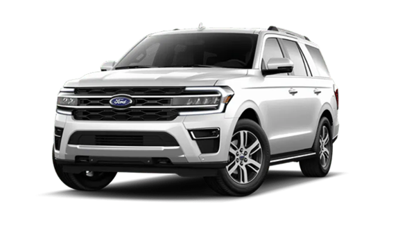 2023 FORD EXPEDITION LIMITED - Exterior view - 1