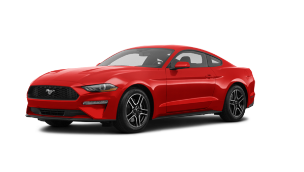 2023 FORD MUSTANG FASTBACK ECOBOOST PREMIUM - Exterior view - 1