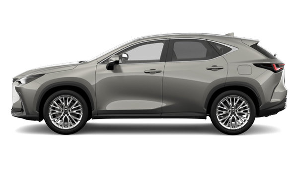 LEXUS NX Hybride 350H 2024 photo-0