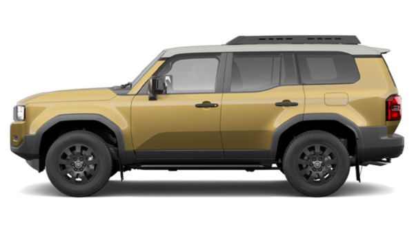 Land Cruiser