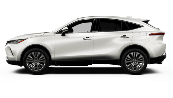 Venza