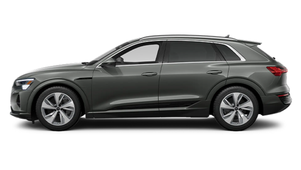 2025 AUDI Q8 e-tron Quattro - Exterior view - 2