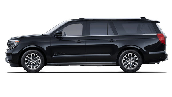 2025 FORD Expedition PLATINUM MAX photo-0