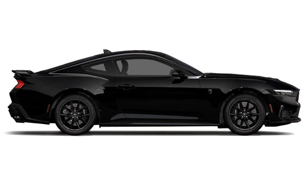 2025 FORD Mustang Fastback Dark Horse photo-3