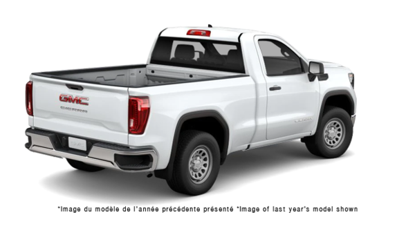 2025 GMC SIERRA 1500 PRO - Exterior view - 3