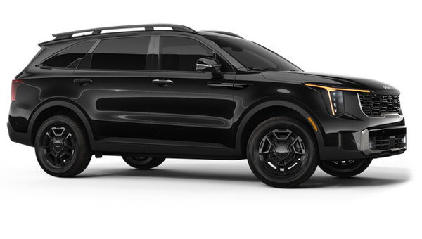 2025 Kia Sorento X-PRO photo-3