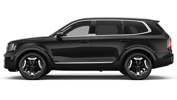 2025 Kia Telluride EX photo-0