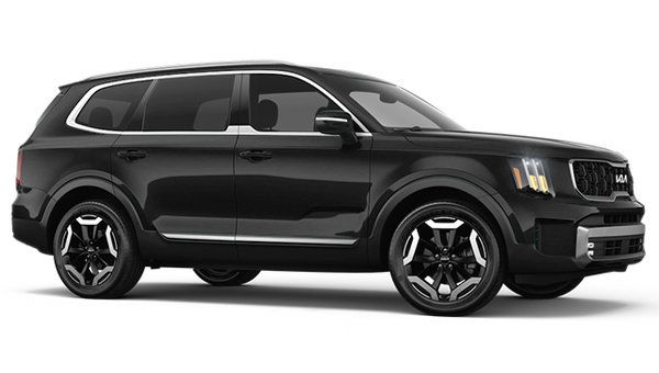 2025 Kia Telluride EX photo-3