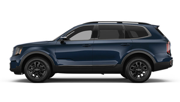 2025 Kia Telluride X-PRO photo-0