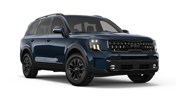 2025 Kia Telluride X-PRO photo-3