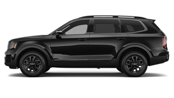 2025 kia Telluride X-PRO - Exterior view - 2