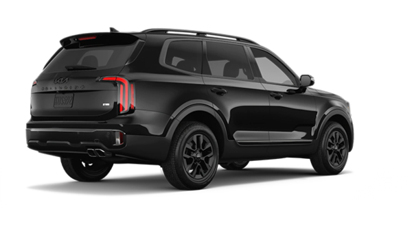 2025 kia Telluride X-PRO - Exterior view - 3