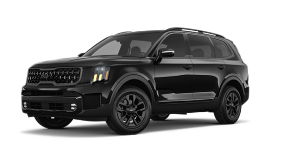 2025 kia Telluride X-PRO - Exterior view - 1