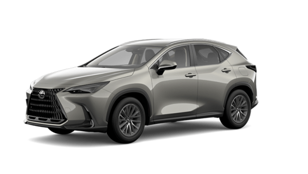 2025 LEXUS NX 250 SIGNATURE - Exterior view - 1