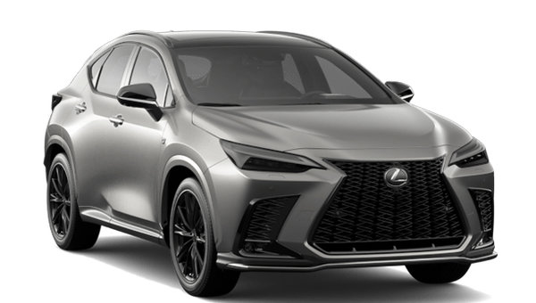 2025 LEXUS NX 350 F SPORT photo-3