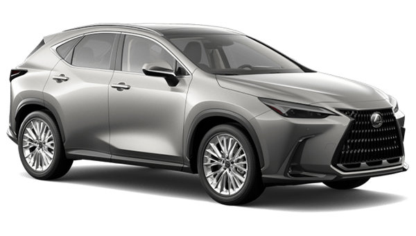 LEXUS NX 350 2025 photo-3