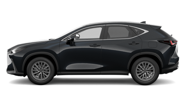 2025 LEXUS NX 350 - Exterior view - 2