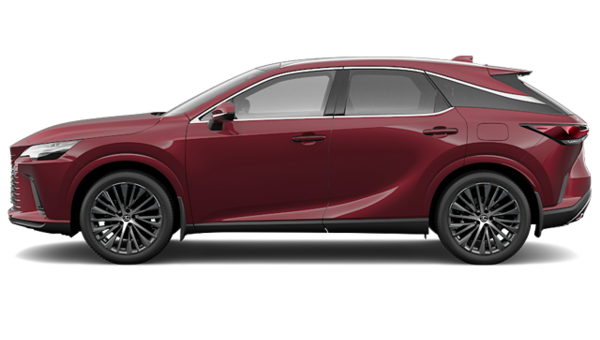 LEXUS RX Hybride 350H 2025 - Vue extérieure - 2