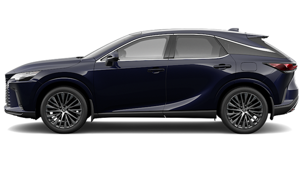 LEXUS RX Hybride 350H 2025 - Vue extérieure - 2