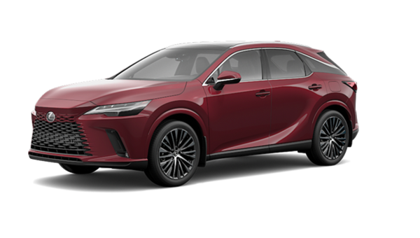 LEXUS RX Hybride 350H 2025 - Vue extérieure - 1