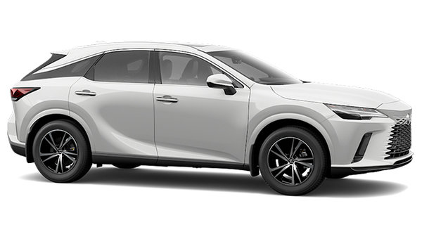 2025 LEXUS RX 350 photo-3