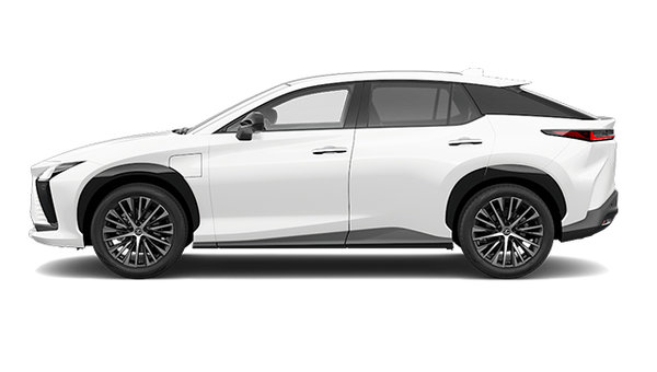 2025 LEXUS RZ LUXURY photo-0