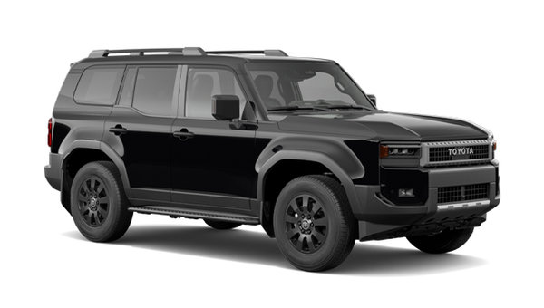 2025 TOYOTA Land Cruiser BASE photo-3
