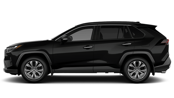 2025 TOYOTA RAV4 Hybrid LIMITED photo-0