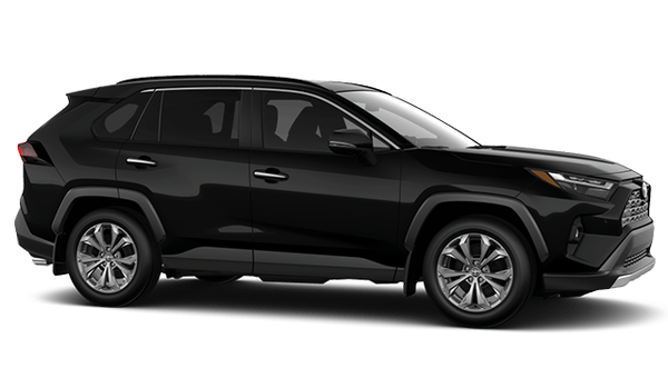 2025 TOYOTA RAV4 Hybrid LIMITED photo-3