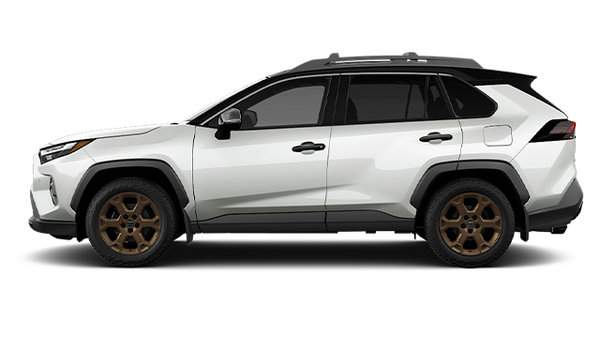 2025 TOYOTA RAV4 Hybrid WOODLAND photo-0