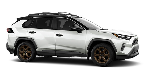 2025 TOYOTA RAV4 Hybrid WOODLAND photo-3