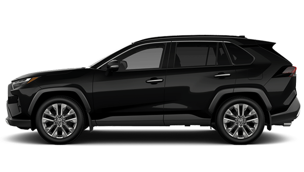 TOYOTA RAV4 LIMITED 2025 photo-0