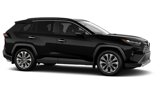 TOYOTA RAV4 LIMITED 2025 photo-3