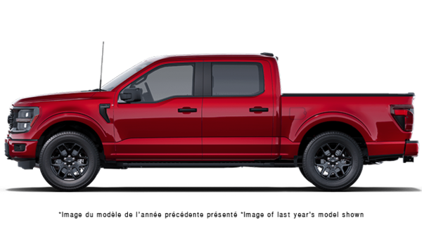 FORD F-150 STX 2026 - Vue extérieure - 2