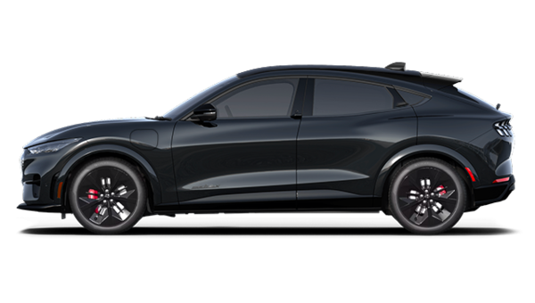 Mustang Mach-E