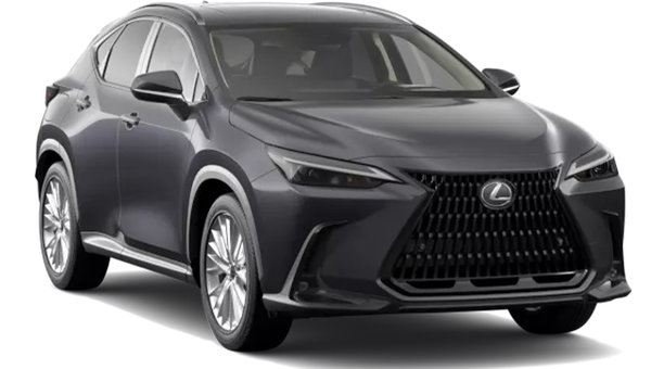 LEXUS NX Hybride Branchable LUXE 2026 photo-3