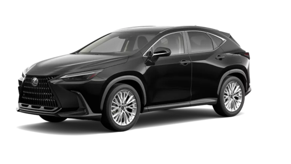 LEXUS NX Hybride Branchable LUXE 2026 - Vue extérieure - 1