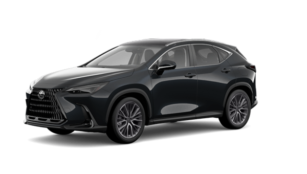 2026 LEXUS NX EXECUTIVE - Exterior view - 1