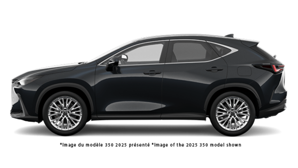 LEXUS NX PREMIUM 2026 - Vue extrieure - 2