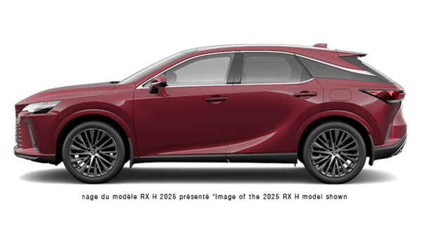 LEXUS RX Hybride 350H LUXE 2026 - Vue extrieure - 2