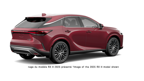 LEXUS RX Hybride 350H LUXE 2026 - Vue extrieure - 3
