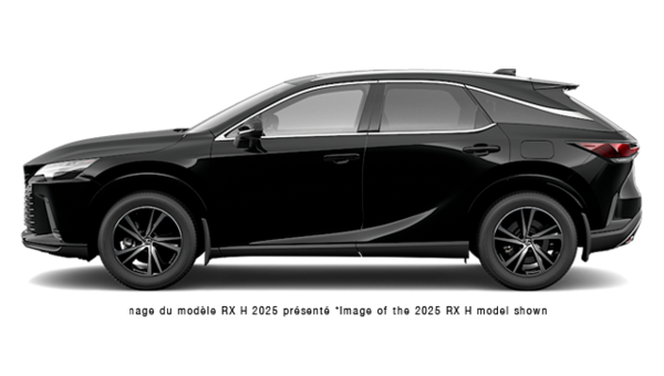 LEXUS RX Hybride 350H PREMIUM 2026 - Vue extrieure - 2