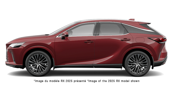 LEXUS RX EXCUTIF 2026 - Vue extrieure - 2
