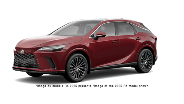 LEXUS RX EXCUTIF 2026 - Vue extrieure - 1