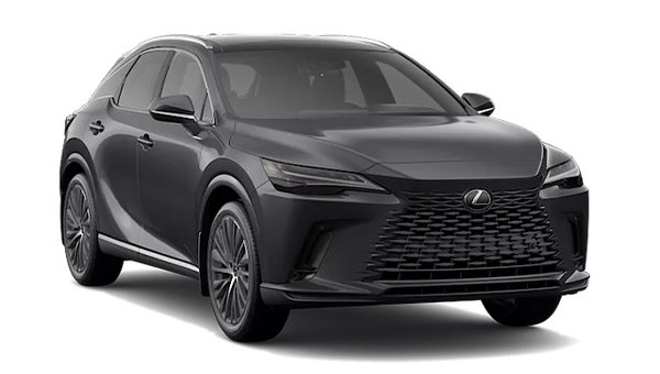 2026 LEXUS RX LUXURY photo-3