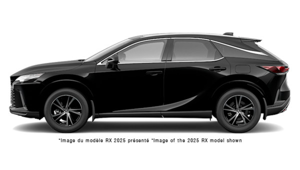 LEXUS RX PREMIUM 2026 - Vue extrieure - 2