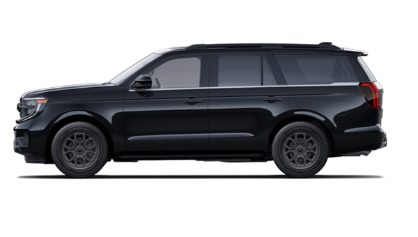 Expedition