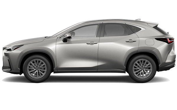 LEXUS NX 250 SIGNATURE 2024 photo-0